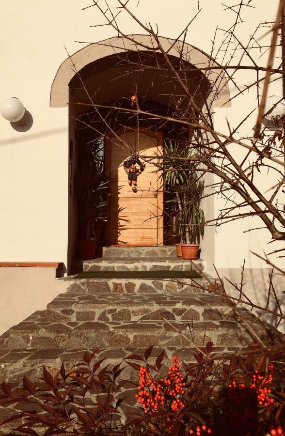 Casa Al Riccio Apartment Capolona Luaran gambar